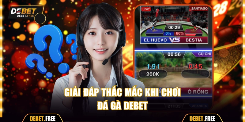 Giải đáp các thắc mắc khi tham gia chọi gà Debet